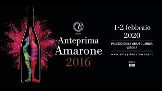 Winechannel - Anteprima Amarone 2016