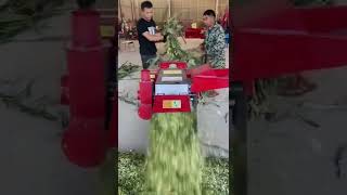 Chaff Cutter machine can easily cut green fodder(kutti)