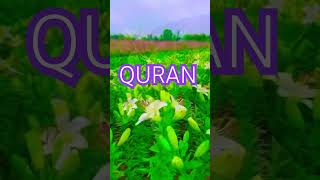 Surah Aaraf Ayat no 142-143 urdu translation #islamic#shorts#video #quran#ytshorts#viral