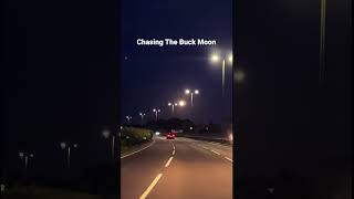 Chasing Buck Moon around London roads #buckmoon #supermoon #london #shorts