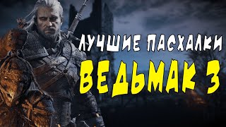 ЛУЧШИЕ ПАСХАЛКИ ВЕДЬМАК 3