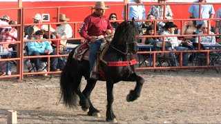 !! QUÉ CHULADA DE CABALLO !! LA ESTANCIA DE SAN JOSE DEL CARMEN GUANAJUATO 12 DE DICIEMBRE 2023