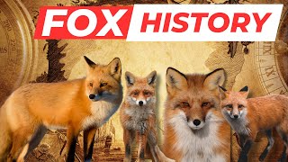 The Fascinating History of Foxes: From Myth to Modern-Day