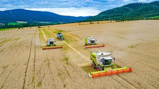 ASVM.sk Žně 2021 | Claas Lexion 760, 2x Claas Lexion 670 & Convio 930, Claas Axion 830 & Fliegl