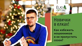 Бизнес на продаже елок. Как не попасть на мошенников и не рискнуть сезоном?