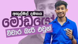 විචාර බැරි එවුන් මෝඩයොම ද? | අඟුල්මල් දමනය විචාර | #sinhala #rashmikasooryabandara #onlineclass