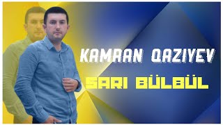 Kamran Qaziyev - Sari bulbul (Yeni 2023)