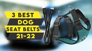 3 Best Dog Seat Belts 2021🔥🔥🔥