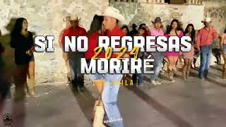 Si No Regresas Moriré (Huapango) | Los Ávila 2024 / Dj Roman-MIX