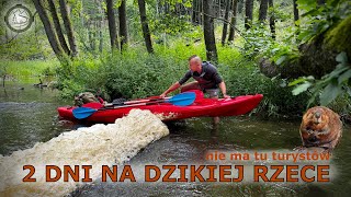 2 dni na dzikiej rzece: kajak, bobry, biwak z gotowaniem, noc pod chmurką