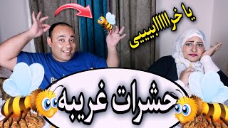 مش عارف ايه الي حصلي😲بطلع حشرات🪰من جسمي👈يويو انهارت من الخوف على نفسها