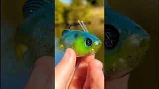 This Swimbait Catches BIG Fish…