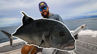 Popping giant trevally GT