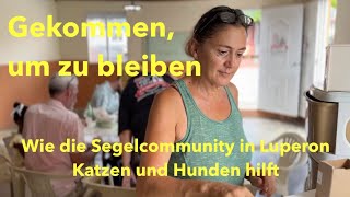 Die Entscheidung ist gefallen: Wir bleiben in Luperon!