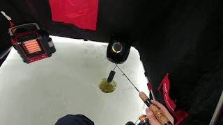 Ice Fishing Silver Lake #4 2019