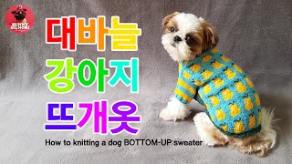 [써니의실노리]대바늘 바텀업 강아지옷 서양배 무늬 배색 뜨개 니트만들기ㅣHow to knitting a dog BOTTOM-UP sweater