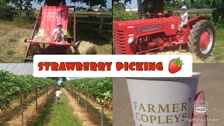 strawberry picking 🍓