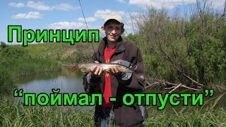 Поймал - отпусти! Ловля щуки!