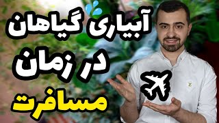 آبیاری گیاهان در زمان مسافرت✈️🌱| وقتی میری سفر این کار برای گیاه انجام بده !