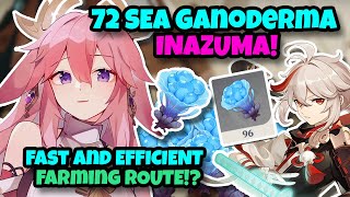 Sea Ganoderma FAST GUIDE FARMING ROUTE - Inazuma Genshin Update