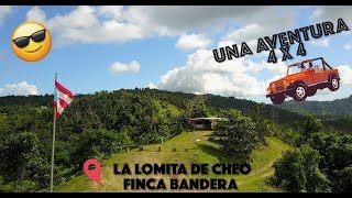 UNA DE LAS MEJORES VISTAS DE PUERTO RICO - FINCA BANDERA