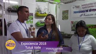 Jardines Verticales para el hogar - EXPOCIENCIA 2018