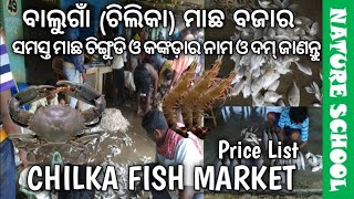 Visit to famous chilika balugaon fish market of odisha and know fish price list