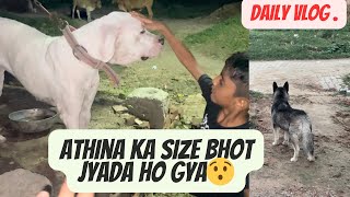 Daily vlog with my dogs,Athina kitni bdi ho gyi gus 😮.