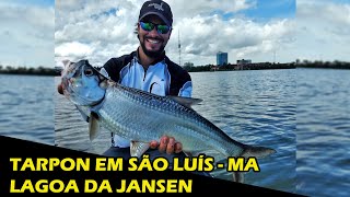 Tarpon em São Luis - MA (NO CENTRO DA CIDADE) #07