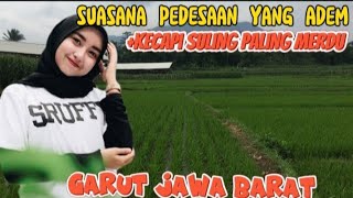 suasana pedesaan Garut+kecapi suling paling merdu#kecapisulingmerdu