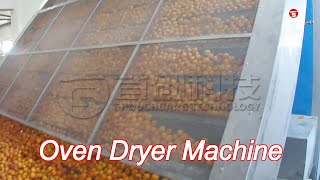 iso9001 industrial fruit food oven dryer machine fig avocado apricots dehydrator