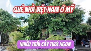 Gia đình Đại náo vườn trái cây ở Homestead | Thăm 2 vườn nổi tiếng ở Florida