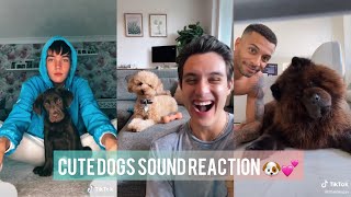 Cute Dogs Sound Reaction TikTok Compilation 🐶💕