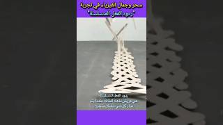 سحر وجمال الفيزياء في تجربة "ردود الفعل المتسلسلة"#تجربة #فيزياء #علوم #نيوتن #تعليم #ابتكار #اشتراك