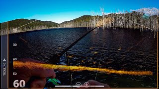 Bass fishing frustration.. Live fishing for bass.