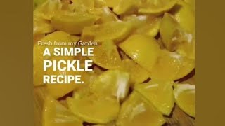 I Harvested My Citrus Trees and Made Pickles | Sweet & Sour Citrus pickle recipe