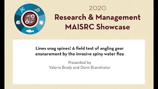 2020 Showcase | Lines snag spines! A field test of angling gear ensnarement by spiny water flea