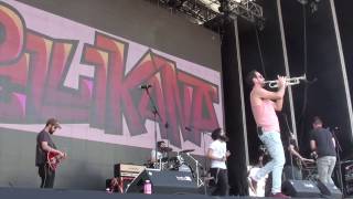 Pellikana en el Paellas Live Festival en Alicante