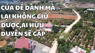 [GẤP]Bán lô đât vườn 2 mặt tiền 2238m2 - MT25m-100TC-vào làm nhà vườn