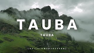 Tauba Tauba - Lofi(Slowed+Reverb) | Bad Newz | Vicky Kaushal | Triptii Dimri | Karan Aujla