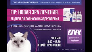 Сателлитный доклад "FIP: новая эра лечения. 35 дней до полного выздоровления"