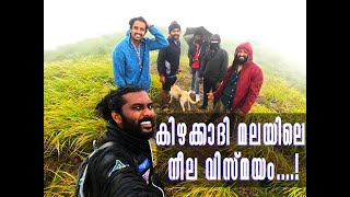 kizhakkadimala | കിഴക്കാദി മലയിലെ നീല  വിസ്മയം #neelakurinji #trekking #labrador