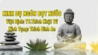 Kinh Dụ Ngôn Bọt Nước    Kính Tụng  Thích Bình An