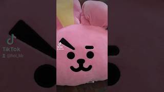 Plushies! Cooky Chimmy Snorlax Capybara #bt21 #mirrorweare #littleredridinghood