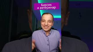 Анекдот Барсик и ветеринар