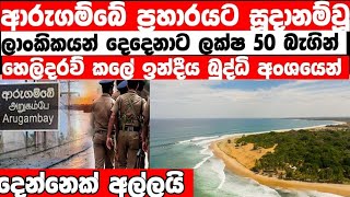 ආරුගම්බේ සැලසුමේ ශ්‍රි ලාංකිකයන් දෙදෙනාට ලක්ෂ 50 බැගින් ගෙවලා l arugambay l today arugambe today