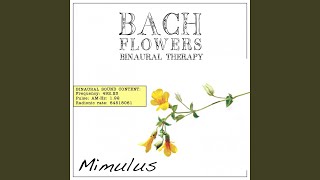 Mimulus EFT Dose Therapy (Binaural Real Frequency from Bach Flowers)