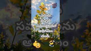 నిరుత్సాహం మీద గెలవడం విజయానికి మార్గం.#shortvideo #trending #shortsfeed #viralreels #vlog