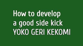 Kick strong Kick confident | How to develop a strong KEKOMI - side thrust kick in Shotokan Karate