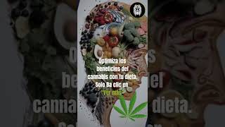 ¿Comida + Cannabis La ciencia detrás de una nutrición adecuada para optimizar sus beneficios